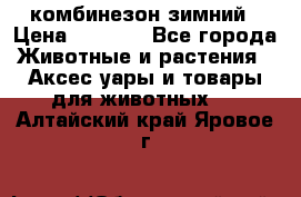 комбинезон зимний › Цена ­ 1 300 - Все города Животные и растения » Аксесcуары и товары для животных   . Алтайский край,Яровое г.